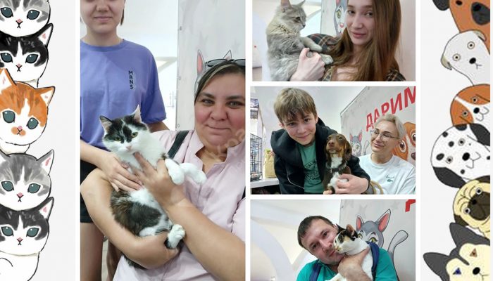 Спешим поделиться итогами выставки в Мегацентре 